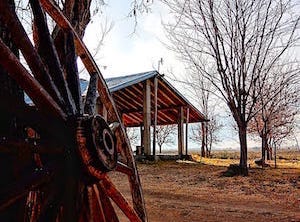 wagonwheel