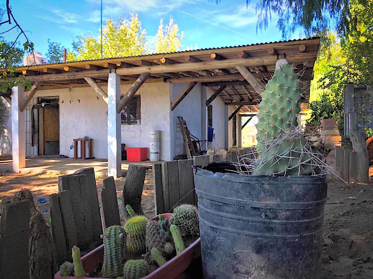 malbec_vineyard